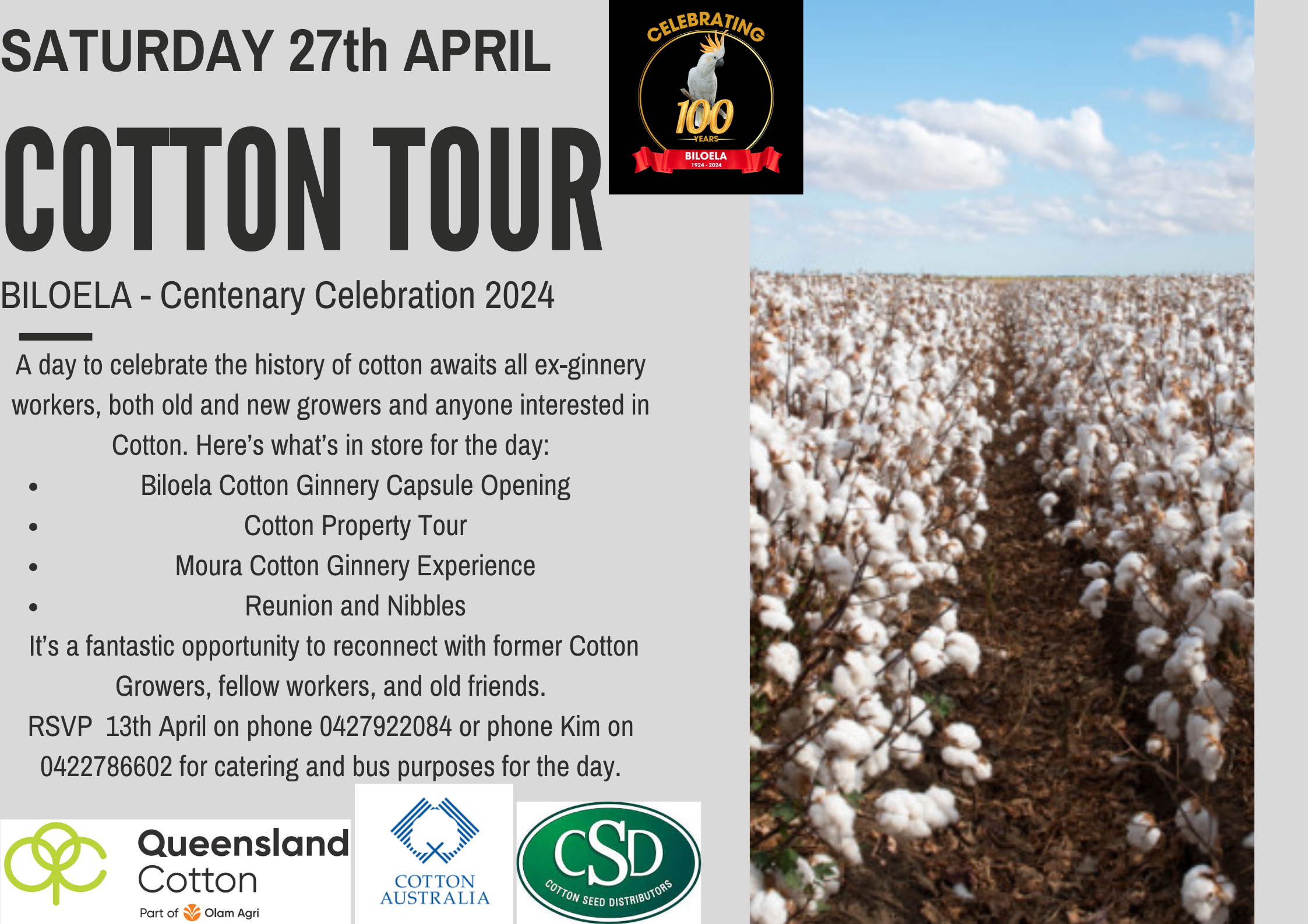 Cotton Tour 270424