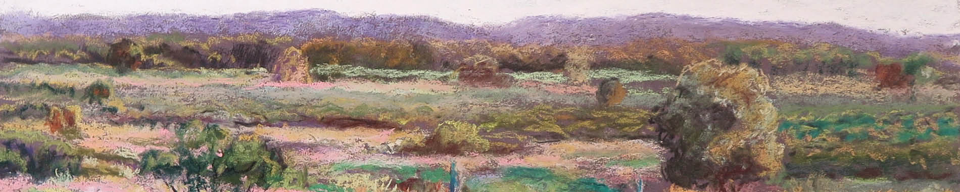 Auda Maclean Evening Light on the Red Natal Grass 2019, pastel on paper, 30.5 x 46 cm.