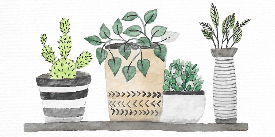 Drawing of pot plants on shelf