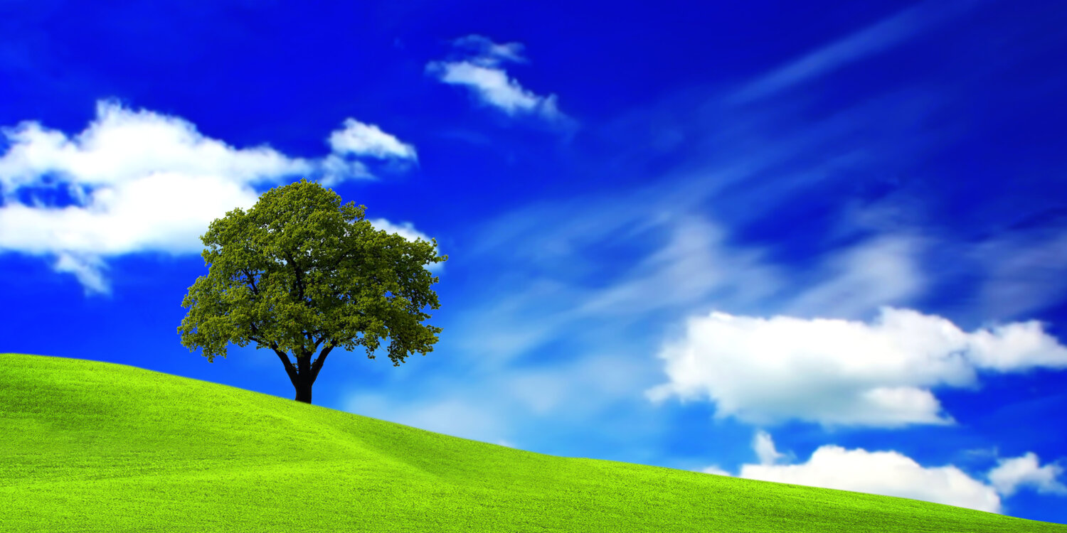 blue skies green grass