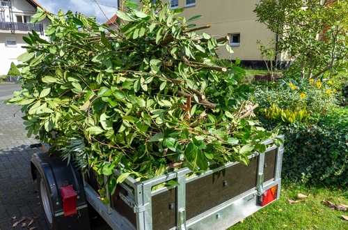 green waste