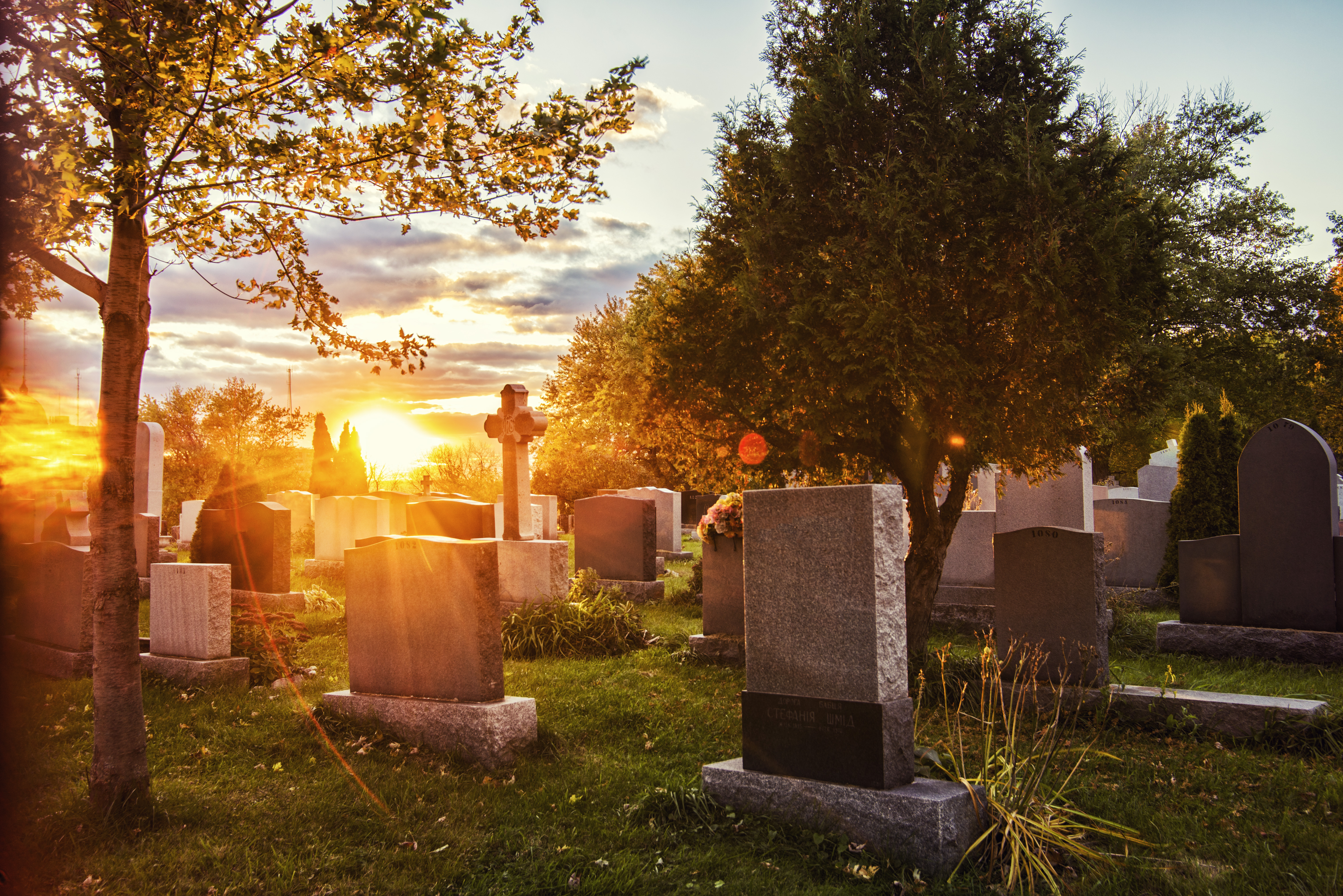 cemetery