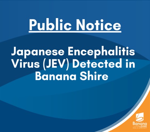 Public Notice: Japanese Encephalitis Virus (JEV) Detected in Banana Shire