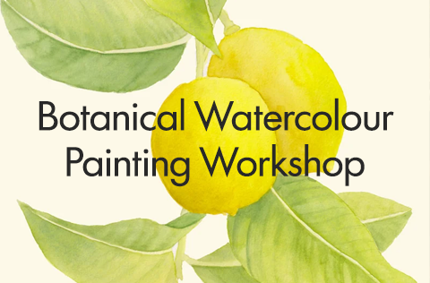 Botanical-Watercolour.png