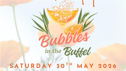 Bubbles-in-the-Buffel.png