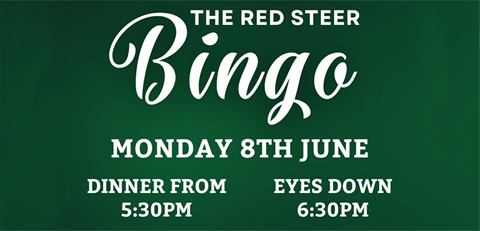 Red-Steer-Bingo_5.png