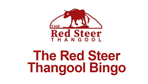 Red-Steer-Thangool-Dec-Bingo_2.png