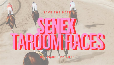 Taroom-Races-preview.png