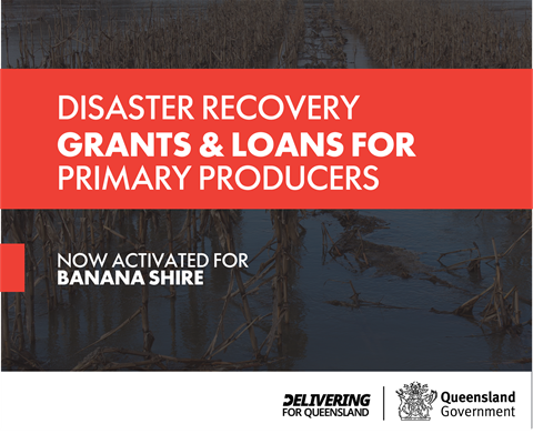 Disaster Recovery Grants & Loans - Primary Producers | Banana Shire Council