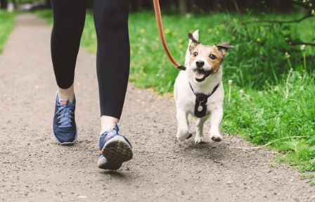 Walking